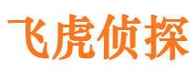 凤城市婚姻调查